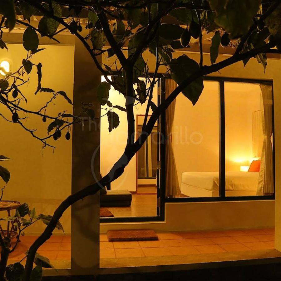 Bed and Breakfast The Tamarillo à Ooty Extérieur photo