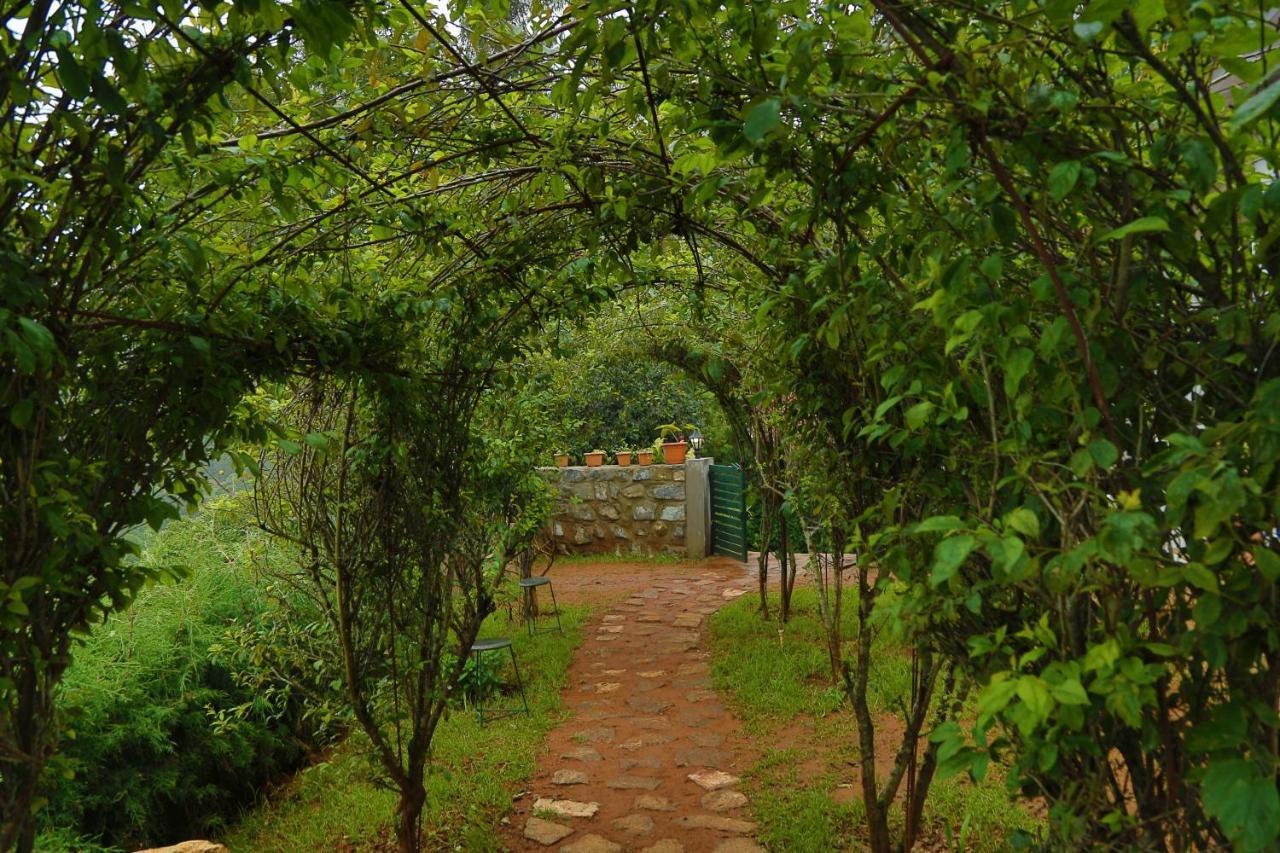 Bed and Breakfast The Tamarillo à Ooty Extérieur photo